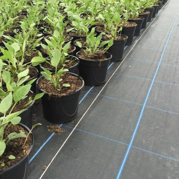 Bild in Galerie-Viewer laden, Ground cover geotextile for preventing weed growth
